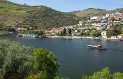 Douro Cruiser